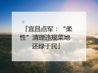 宜昌点军：“柔性”清理违规菜地 还绿于民