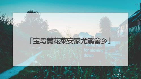 宝岛黄花菜安家尤溪畲乡