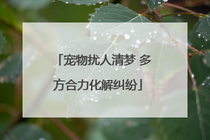 宠物扰人清梦 多方合力化解纠纷