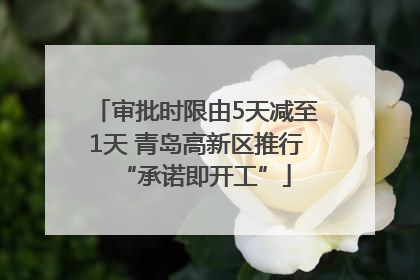 审批时限由5天减至1天 青岛高新区推行“承诺即开工”