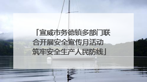 宣威市务德镇多部门联合开展安全宣传月活动 筑牢安全生产人民防线