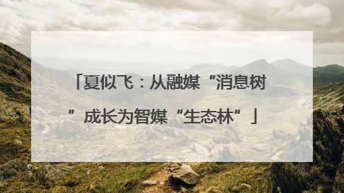 夏似飞：从融媒“消息树”成长为智媒“生态林”