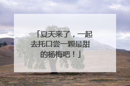 夏天来了，一起去托口尝一颗最甜的杨梅吧！