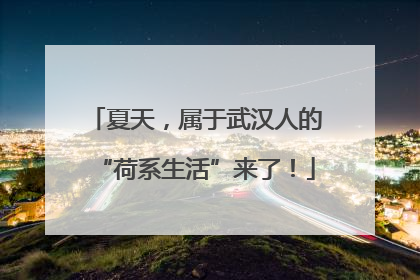 夏天，属于武汉人的“荷系生活”来了！