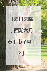 夏日来临，西湖六月黄上市了吗？
