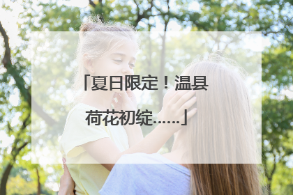 夏日限定！温县荷花初绽……