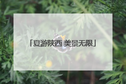 夏游陕西 美景无限
