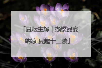夏耘生辉｜撷樱品宴纳凉 夏趣十三陵