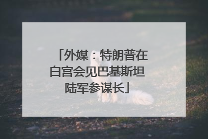外媒：特朗普在白宫会见巴基斯坦陆军参谋长