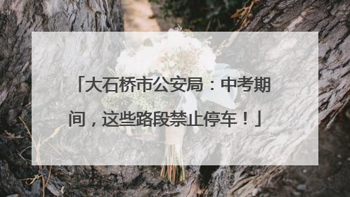 大石桥市公安局：中考期间，这些路段禁止停车！