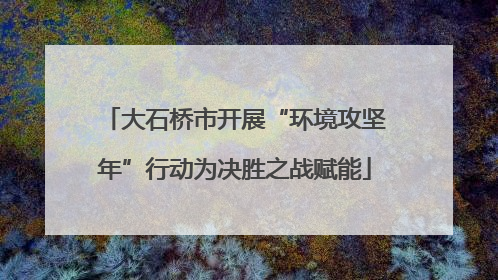 大石桥市开展“环境攻坚年”行动为决胜之战赋能
