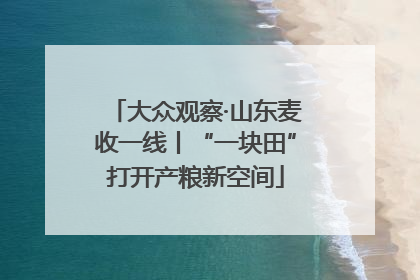 大众观察·山东麦收一线丨“一块田”打开产粮新空间