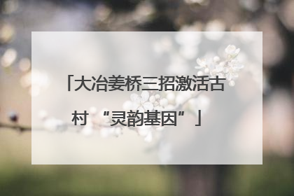 大冶姜桥三招激活古村 “灵韵基因”