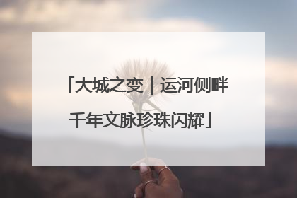 大城之变｜运河侧畔 千年文脉珍珠闪耀