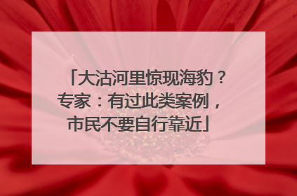 大沽河里惊现海豹？专家：有过此类案例，市民不要自行靠近