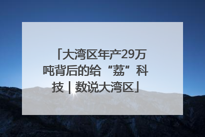 大湾区年产29万吨背后的给“荔”科技｜数说大湾区