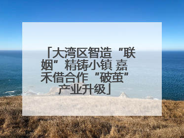 大湾区智造“联姻”精铸小镇 嘉禾借合作“破茧”产业升级