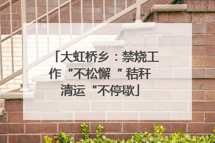 大虹桥乡：禁烧工作“不松懈“ 秸秆清运“不停歇