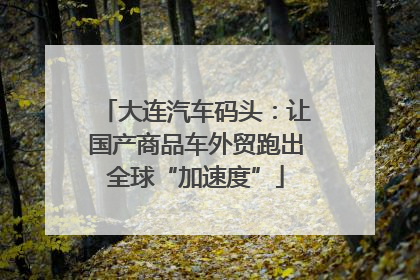 大连汽车码头：让国产商品车外贸跑出全球“加速度”