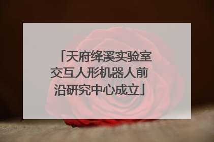 天府绛溪实验室交互人形机器人前沿研究中心成立