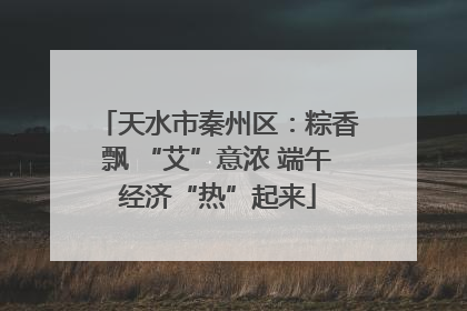 天水市秦州区：粽香飘 “艾”意浓 端午经济“热”起来