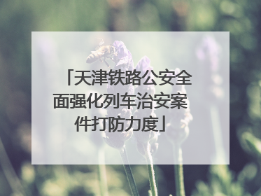 天津铁路公安全面强化列车治安案件打防力度