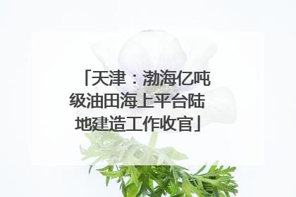 天津：渤海亿吨级油田海上平台陆地建造工作收官