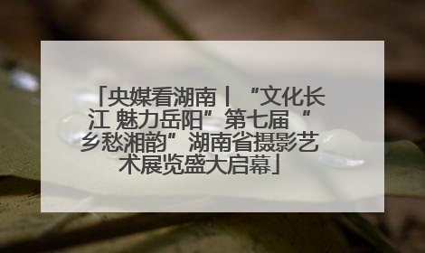 央媒看湖南丨“文化长江 魅力岳阳”第七届“乡愁湘韵”湖南省摄影艺术展览盛大启幕
