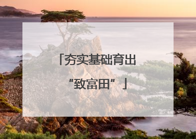 夯实基础育出“致富田”