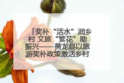 奖补“活水”润乡村 文旅“繁花”助振兴——黄龙县以旅游奖补政策激活乡村振兴新动能