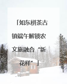 如东栟茶古镇端午解锁农文旅融合“新花样”