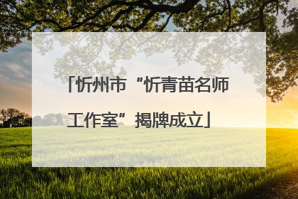 忻州市“忻青苗名师工作室”揭牌成立