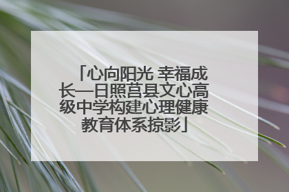 心向阳光 幸福成长—日照莒县文心高级中学构建心理健康教育体系掠影