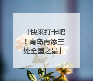 快来打卡吧！青岛再添三处全国之最