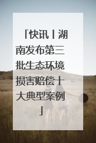 快讯丨湖南发布第三批生态环境损害赔偿十大典型案例