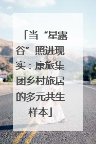 当“星露谷”照进现实：康旅集团乡村旅居的多元共生样本