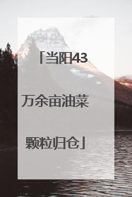 当阳43万余亩油菜颗粒归仓
