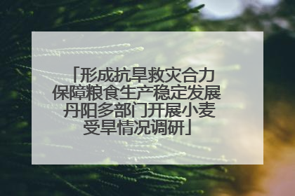 形成抗旱救灾合力 保障粮食生产稳定发展 丹阳多部门开展小麦受旱情况调研