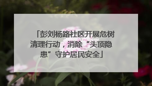 彭刘杨路社区开展危树清理行动，消除“头顶隐患”守护居民安全