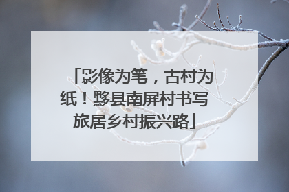 影像为笔，古村为纸！黟县南屏村书写旅居乡村振兴路