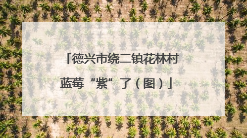 德兴市绕二镇花林村蓝莓“紫”了（图）