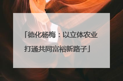 德化杨梅：以立体农业打通共同富裕新路子