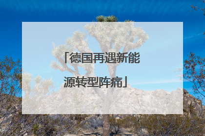 德国再遇新能源转型阵痛
