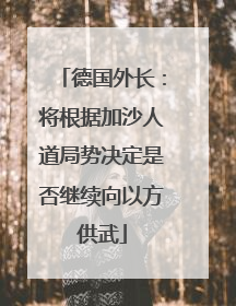 德国外长：将根据加沙人道局势决定是否继续向以方供武