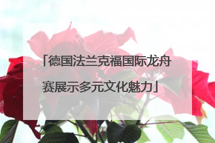 德国法兰克福国际龙舟赛展示多元文化魅力