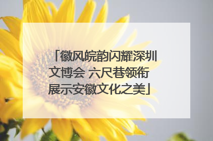徽风皖韵闪耀深圳文博会 六尺巷领衔展示安徽文化之美