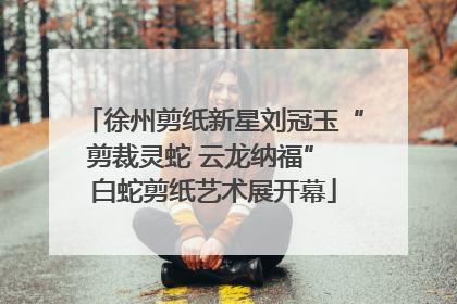 徐州剪纸新星刘冠玉“剪裁灵蛇 云龙纳福” 白蛇剪纸艺术展开幕