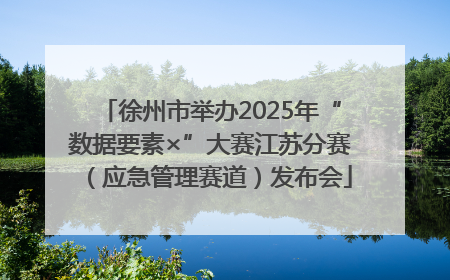 徐州市举办2025年“数据要素×”大赛江苏分赛（应急管理赛道）发布会