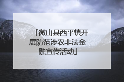 微山县西平镇开展防范涉农非法金融宣传活动