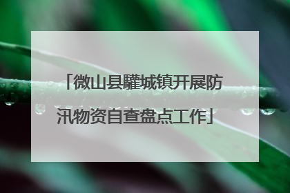 微山县驩城镇开展防汛物资自查盘点工作